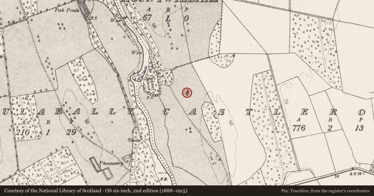 Ordnance Survey six-inch map, 2nd edition (1888–1915) covering the location of Designed landscape - tree-ring, Castleroberts, County Limerick, with a pin at the register's coordinates