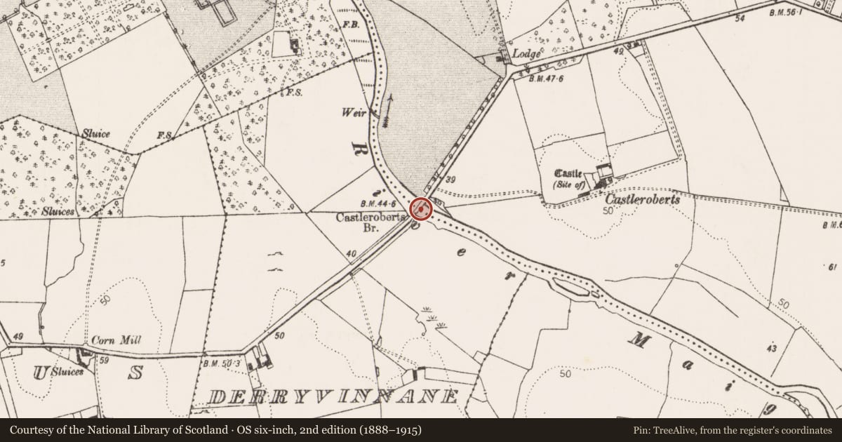 Ordnance Survey six-inch map, 2nd edition (1888–1915) covering the location of Architectural fragment, Castleroberts, County Limerick, with a pin at the register's coordinates