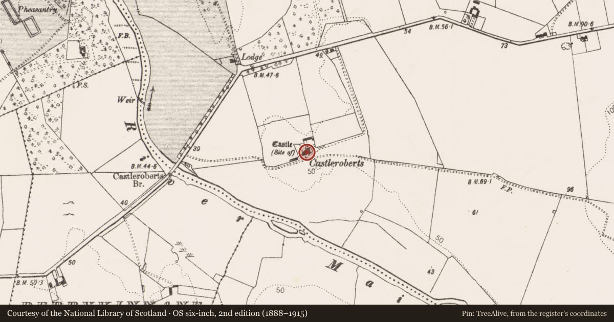 Ordnance Survey six-inch map, 2nd edition (1888–1915) covering the location of Castle - unclassified, Castleroberts, County Limerick, with a pin at the register's coordinates