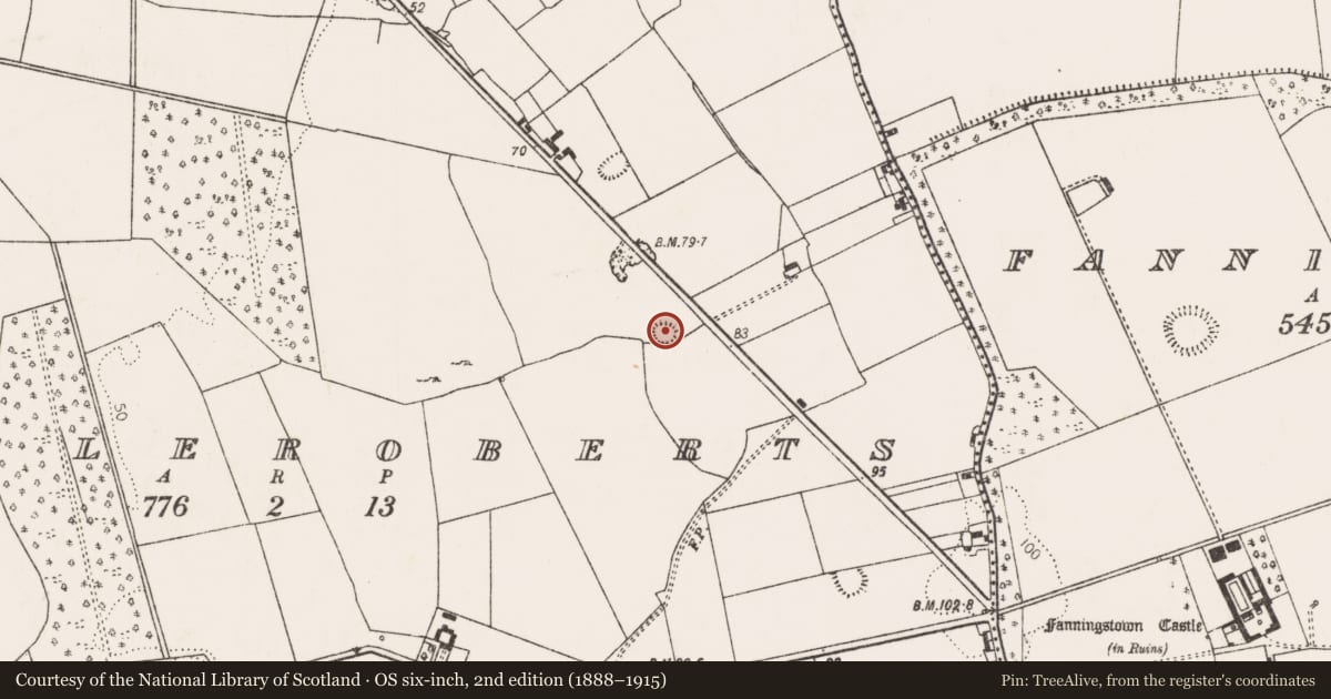 Ordnance Survey six-inch map, 2nd edition (1888–1915) covering the location of Enclosure, Castleroberts, County Limerick, with a pin at the register's coordinates