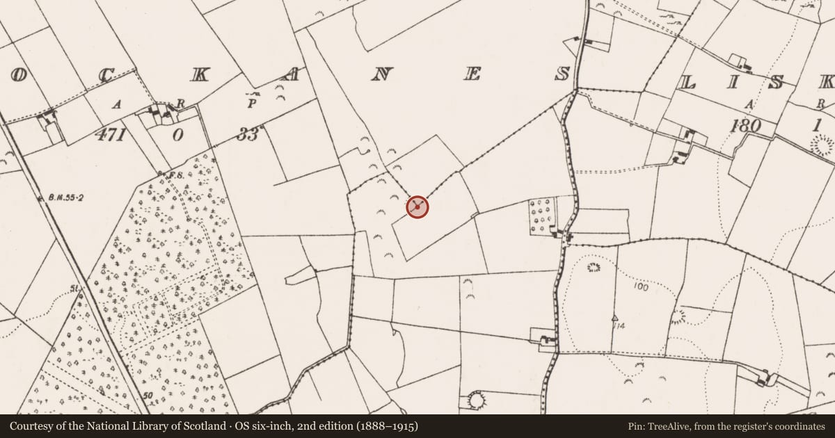 Ordnance Survey six-inch map, 2nd edition (1888–1915) covering the location of Ringfort - rath, Castleroberts, Knockanes, County Limerick, with a pin at the register's coordinates