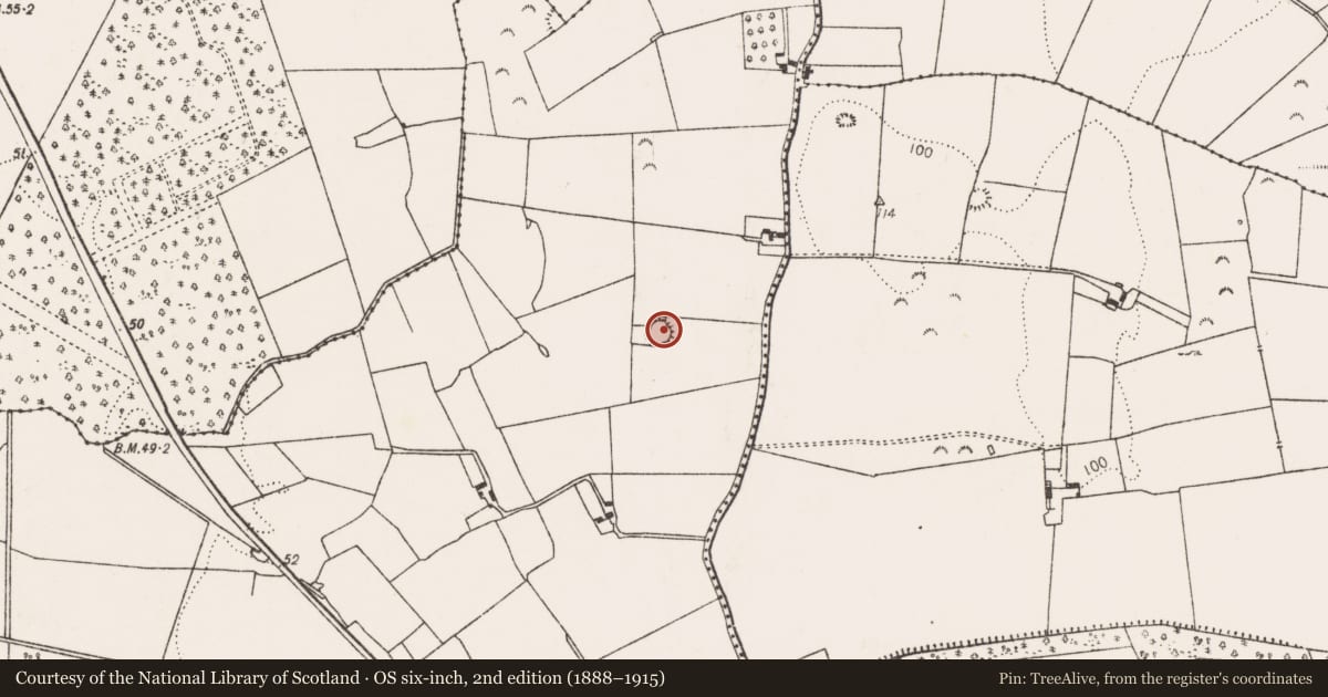 Ordnance Survey six-inch map, 2nd edition (1888–1915) covering the location of Ringfort - unclassified, Castleroberts, County Limerick, with a pin at the register's coordinates
