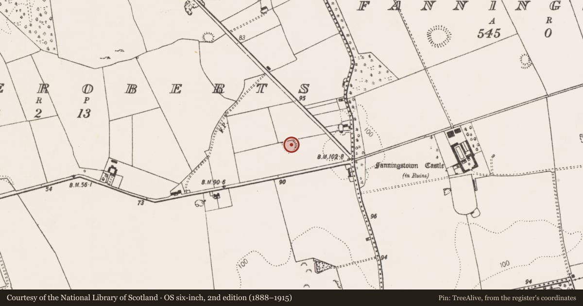 Ordnance Survey six-inch map, 2nd edition (1888–1915) covering the location of Ringfort - rath, Castleroberts, County Limerick, with a pin at the register's coordinates