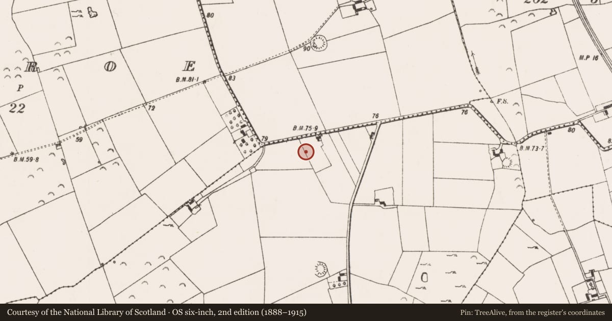 Ordnance Survey six-inch map, 2nd edition (1888–1915) covering the location of Ringfort - unclassified, Knockanes, County Limerick, with a pin at the register's coordinates