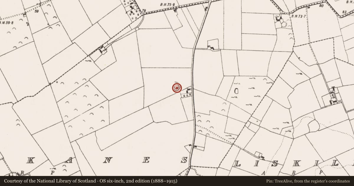 Ordnance Survey six-inch map, 2nd edition (1888–1915) covering the location of Ringfort - rath, Knockanes, County Limerick, with a pin at the register's coordinates