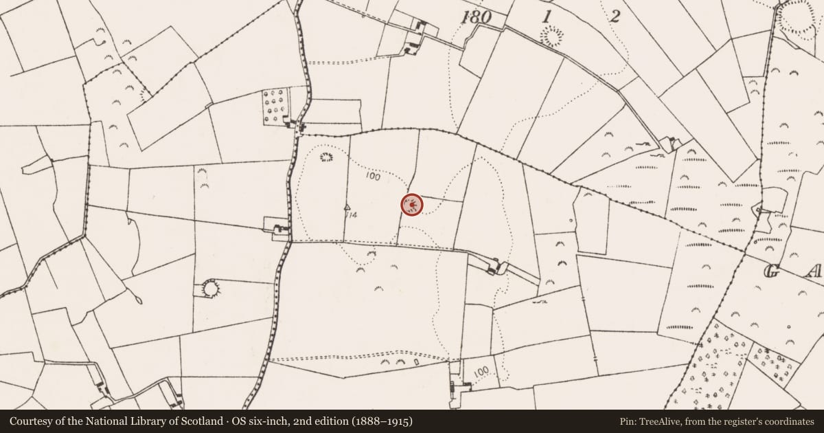 Ordnance Survey six-inch map, 2nd edition (1888–1915) covering the location of Ringfort - rath, Fanningstown, County Limerick, with a pin at the register's coordinates