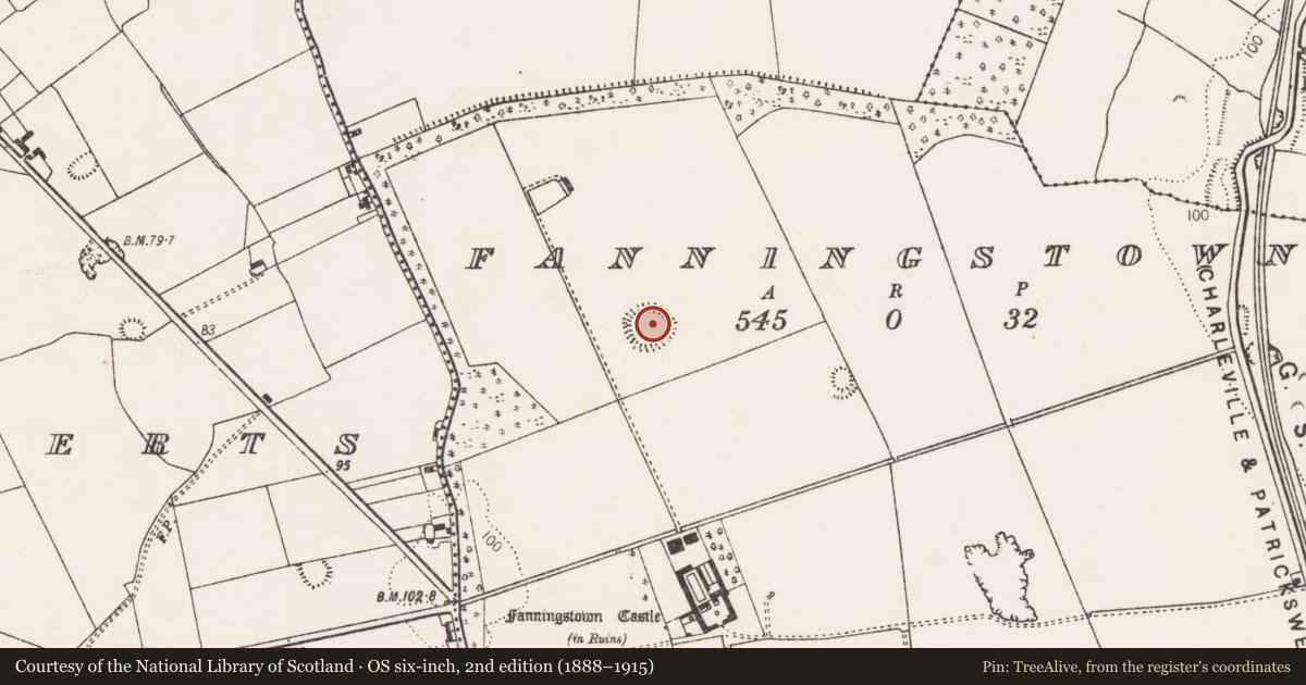 Ordnance Survey six-inch map, 2nd edition (1888–1915) covering the location of Ringfort - unclassified, Fanningstown, County Limerick, with a pin at the register's coordinates