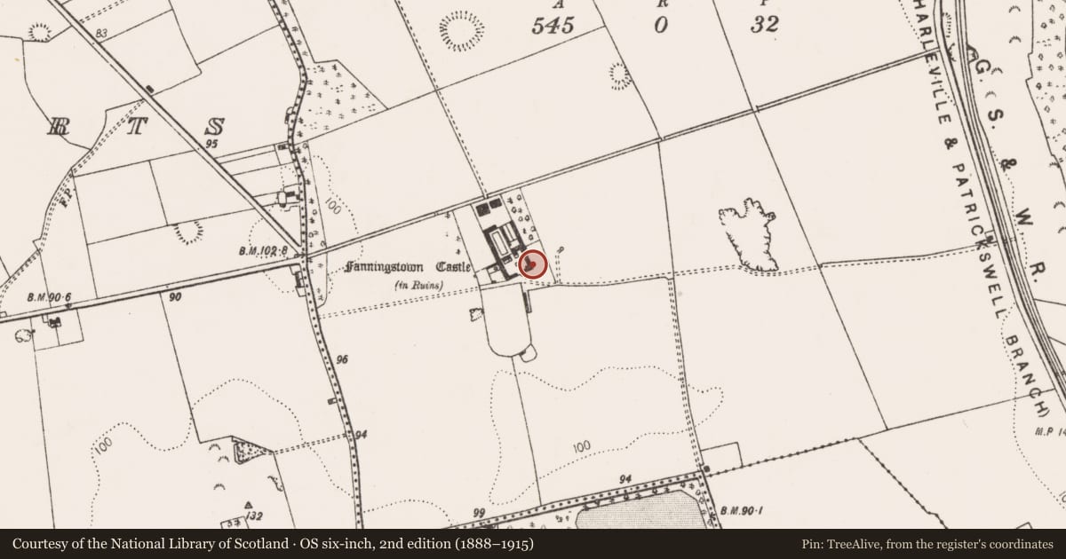 Ordnance Survey six-inch map, 2nd edition (1888–1915) covering the location of Castle - tower house, Fanningstown, County Limerick, with a pin at the register's coordinates