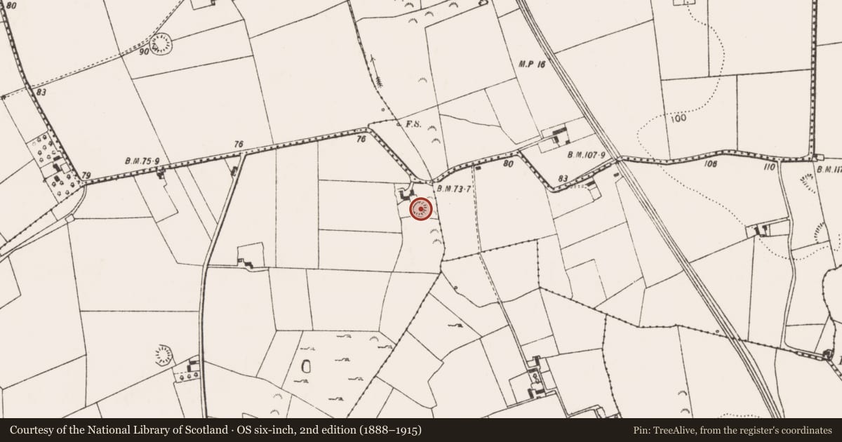 Ordnance Survey six-inch map, 2nd edition (1888–1915) covering the location of Ringfort - rath, Knockanes, County Limerick, with a pin at the register's coordinates