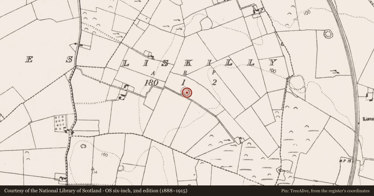 Ordnance Survey six-inch map, 2nd edition (1888–1915) covering the location of Ringfort - rath, Liskilly, County Limerick, with a pin at the register's coordinates