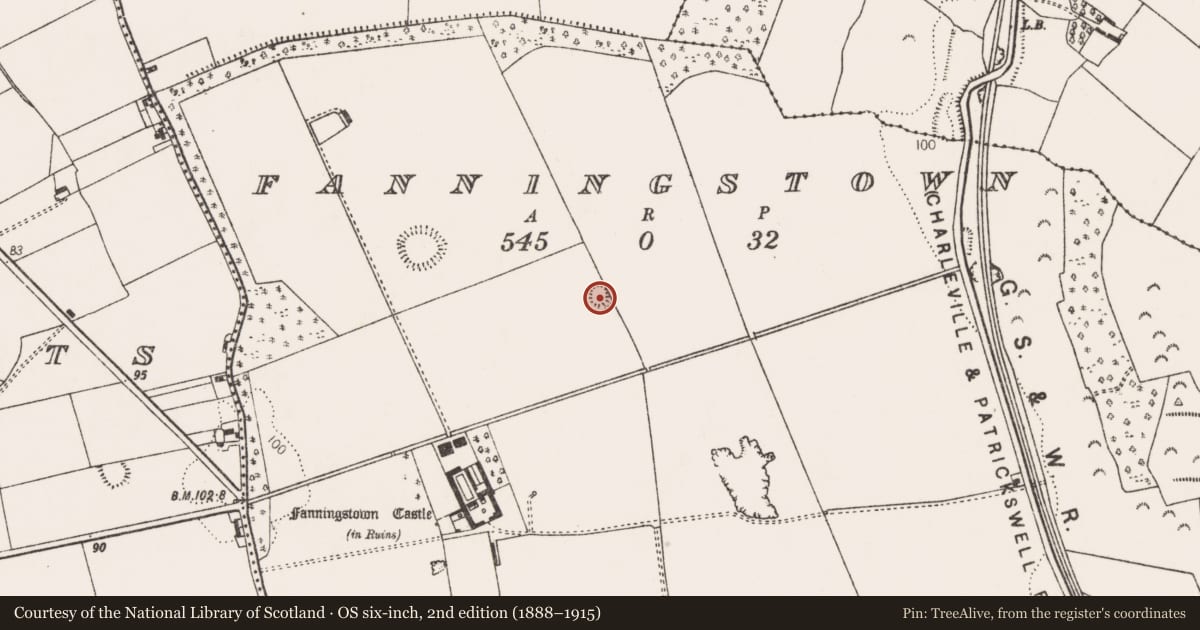 Ordnance Survey six-inch map, 2nd edition (1888–1915) covering the location of Ringfort - rath, Fanningstown, County Limerick, with a pin at the register's coordinates
