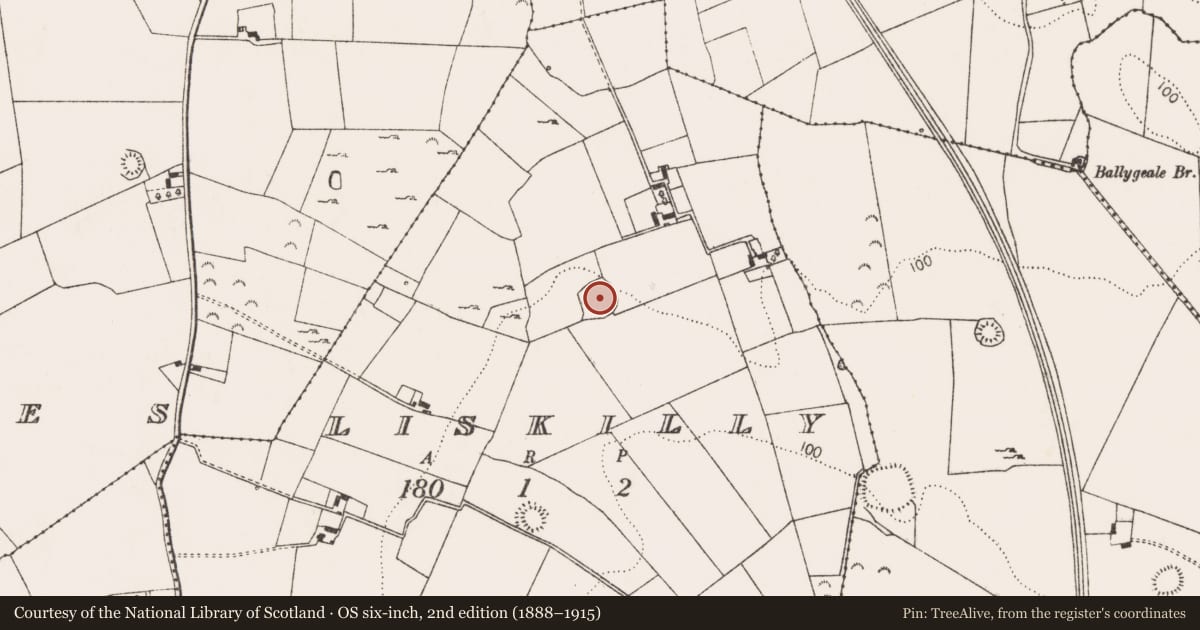 Ordnance Survey six-inch map, 2nd edition (1888–1915) covering the location of Enclosure, Liskilly, County Limerick, with a pin at the register's coordinates