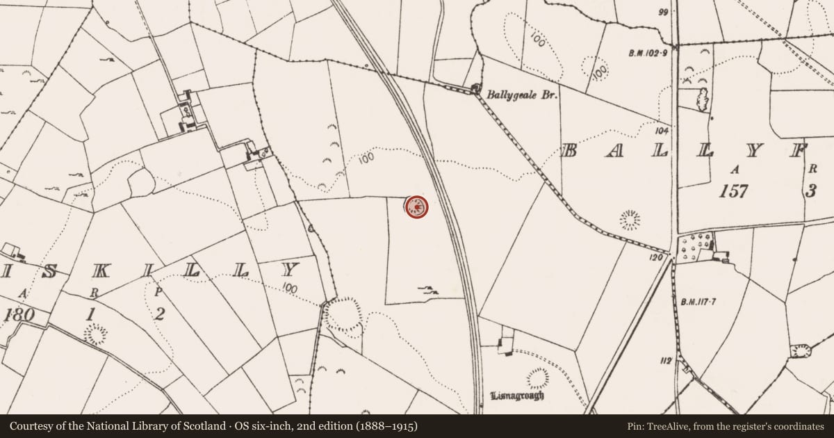 Ordnance Survey six-inch map, 2nd edition (1888–1915) covering the location of Ringfort - rath, Garranroe, County Limerick, with a pin at the register's coordinates