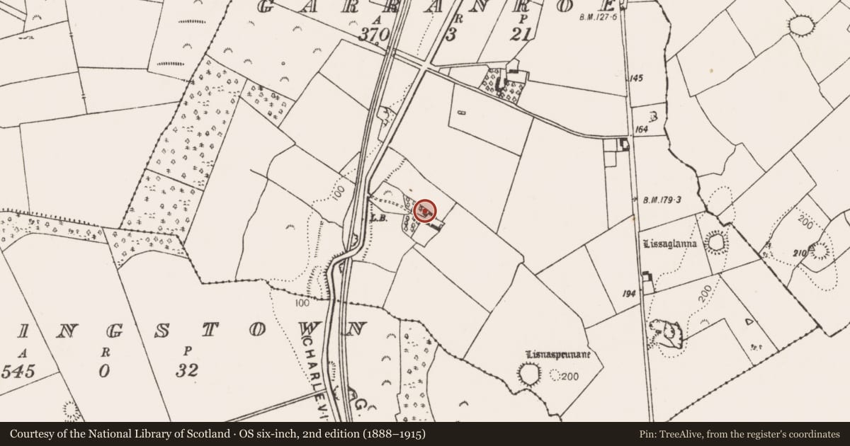 Ordnance Survey six-inch map, 2nd edition (1888–1915) covering the location of Children's burial ground, Garranroe, County Limerick, with a pin at the register's coordinates