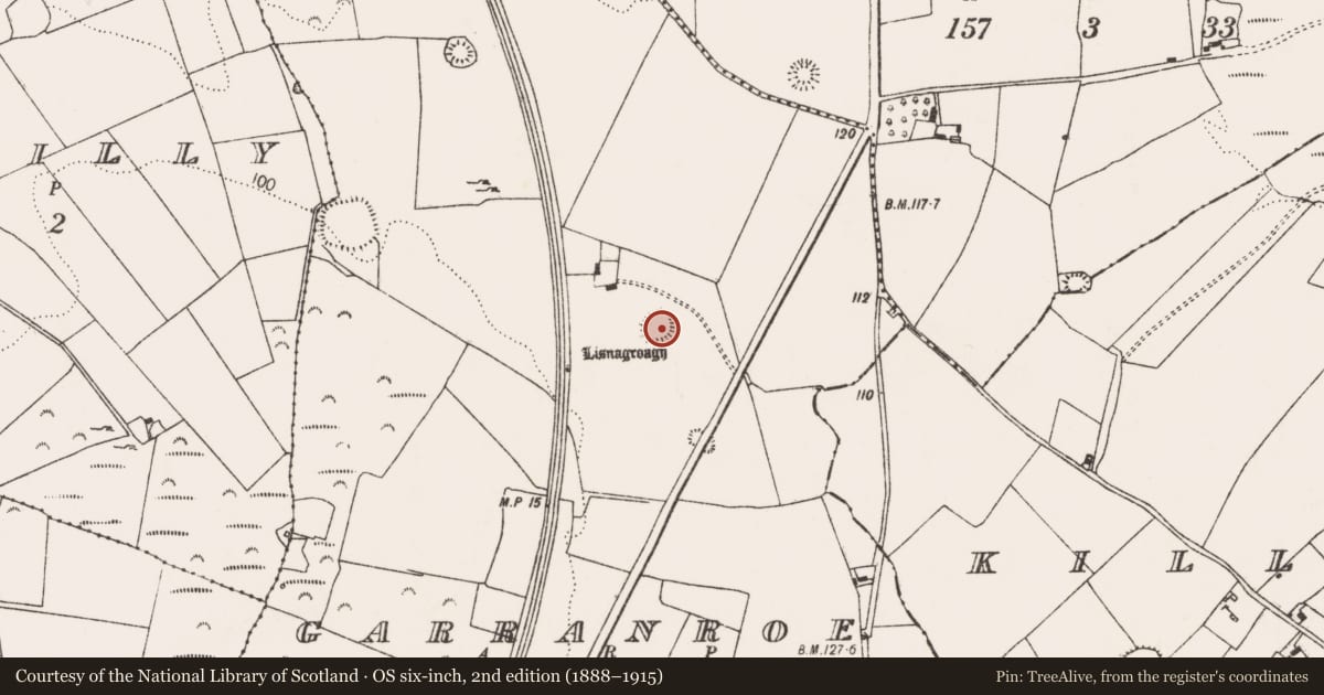 Ordnance Survey six-inch map, 2nd edition (1888–1915) covering the location of Ringfort - rath, Garranroe, County Limerick, with a pin at the register's coordinates