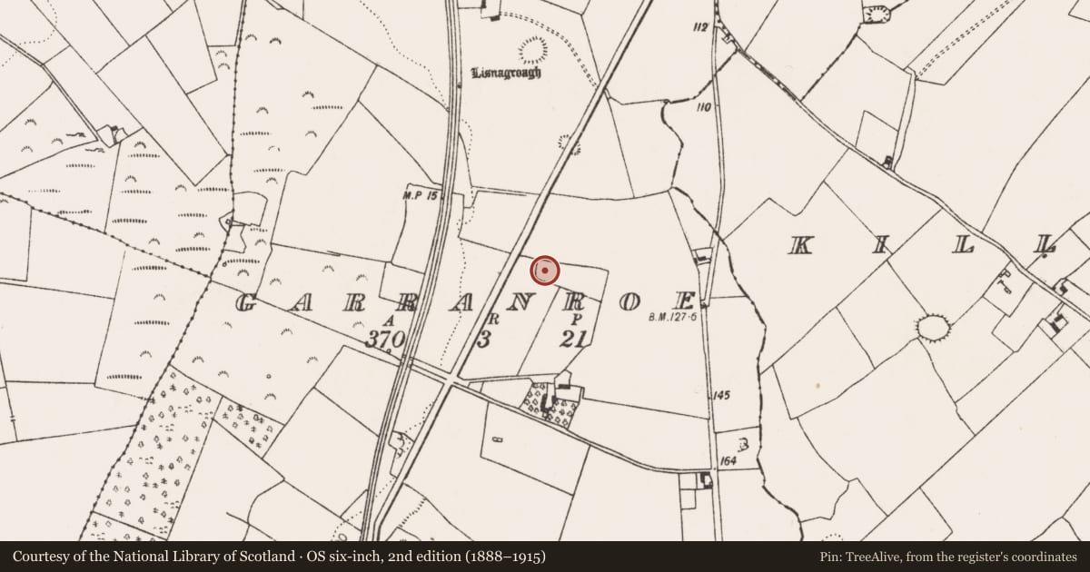 Ordnance Survey six-inch map, 2nd edition (1888–1915) covering the location of Ringfort - unclassified, Garranroe, County Limerick, with a pin at the register's coordinates