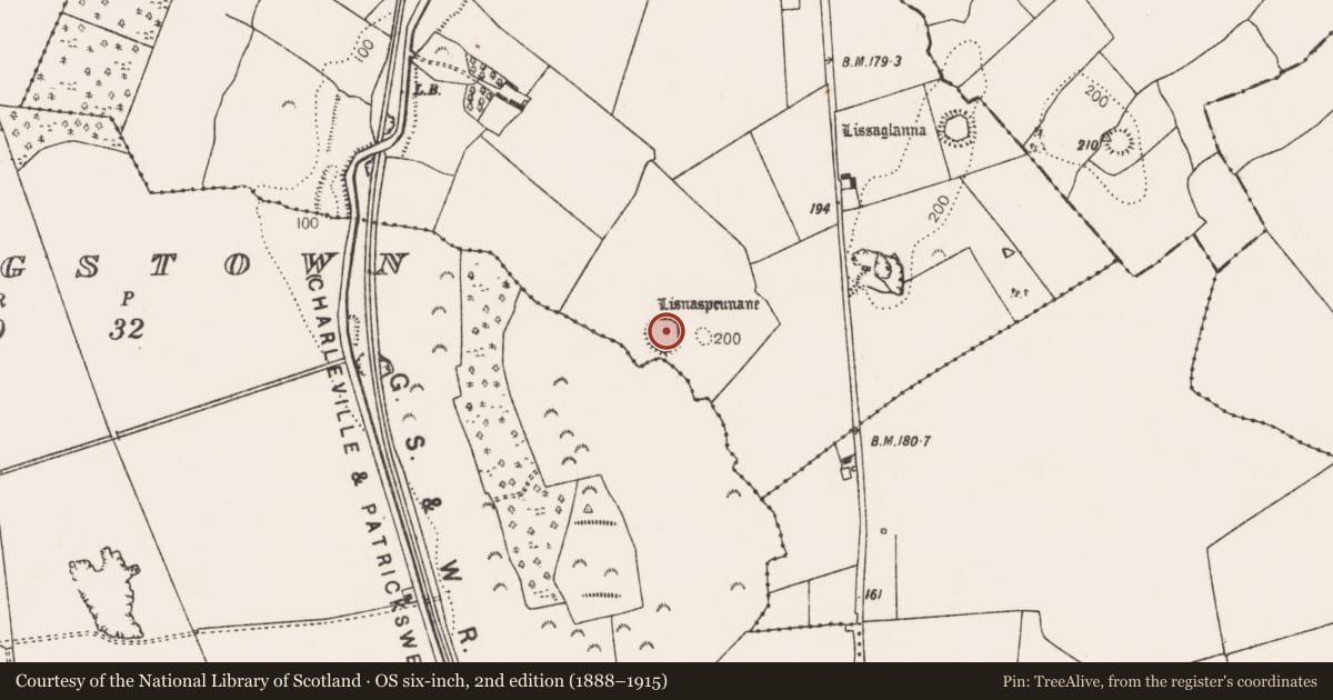 Ordnance Survey six-inch map, 2nd edition (1888–1915) covering the location of Ringfort - cashel, Garranroe, County Limerick, with a pin at the register's coordinates