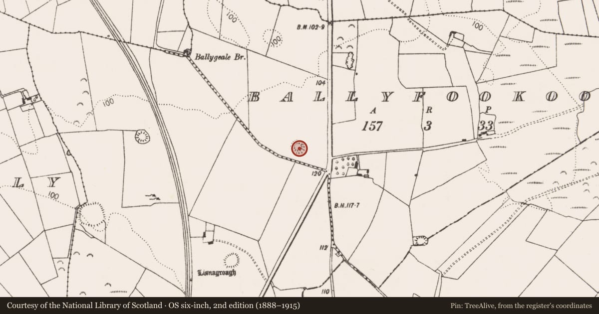 Ordnance Survey six-inch map, 2nd edition (1888–1915) covering the location of Ringfort - rath, Ballyfookoon, County Limerick, with a pin at the register's coordinates