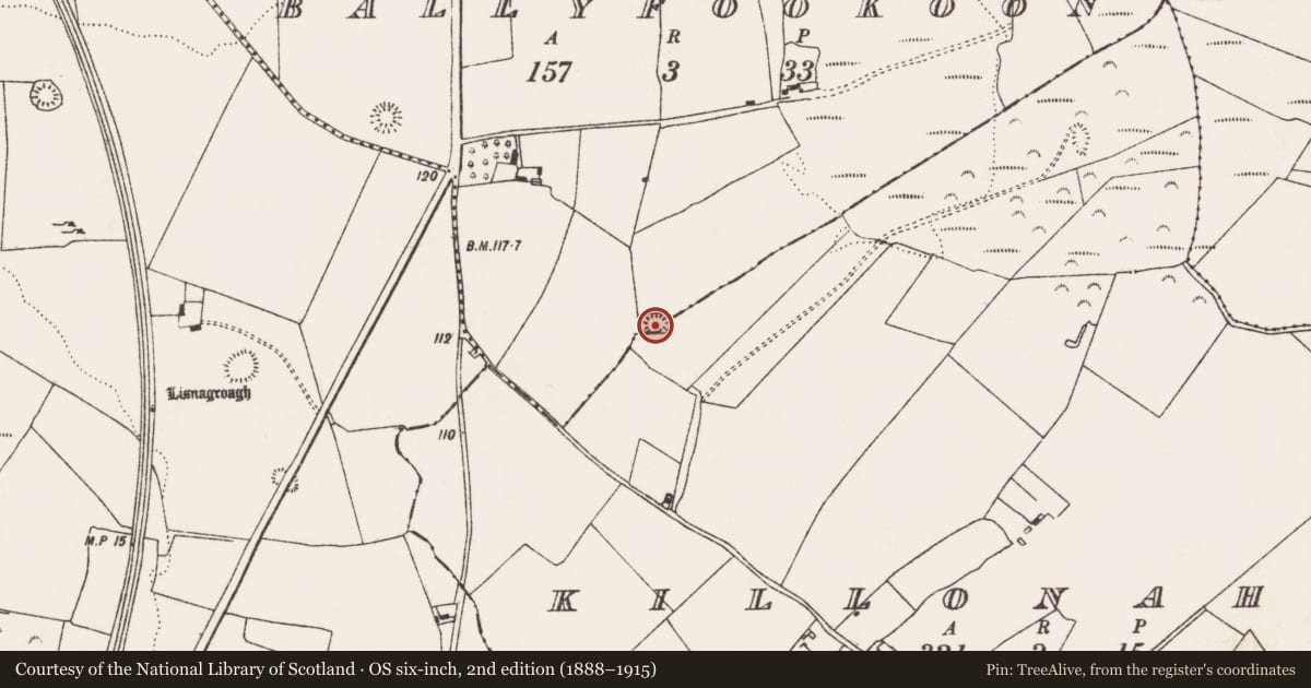 Ordnance Survey six-inch map, 2nd edition (1888–1915) covering the location of Ringfort - rath, Ballyfookoon, County Limerick, with a pin at the register's coordinates