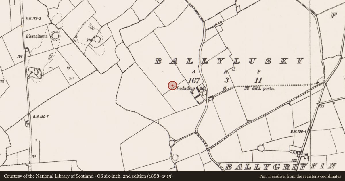 Ordnance Survey six-inch map, 2nd edition (1888–1915) covering the location of Ringfort - unclassified, Ballylusky, County Limerick, with a pin at the register's coordinates