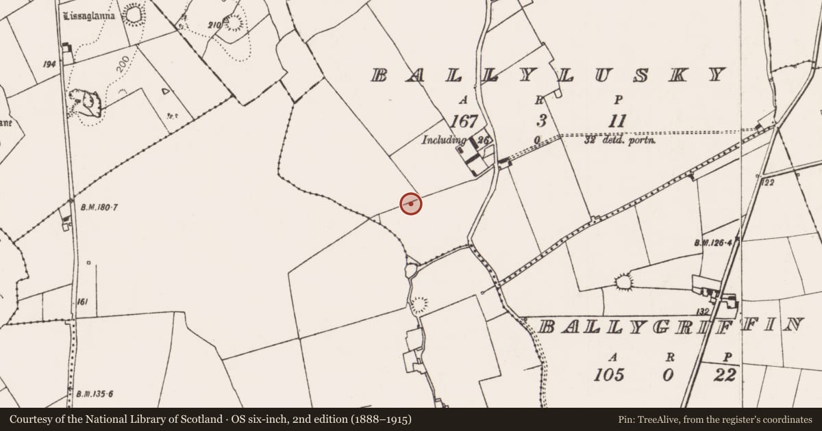 Ordnance Survey six-inch map, 2nd edition (1888–1915) covering the location of Ringfort - unclassified, Ballylusky, County Limerick, with a pin at the register's coordinates