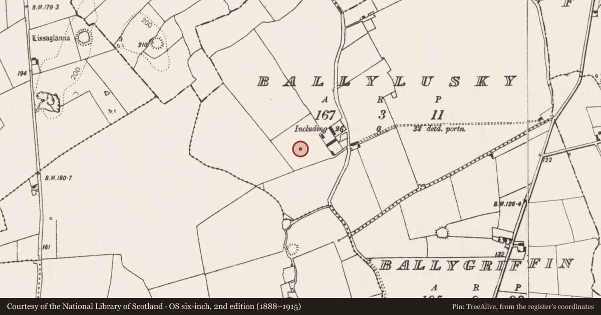Ordnance Survey six-inch map, 2nd edition (1888–1915) covering the location of Ringfort - unclassified, Ballylusky, County Limerick, with a pin at the register's coordinates