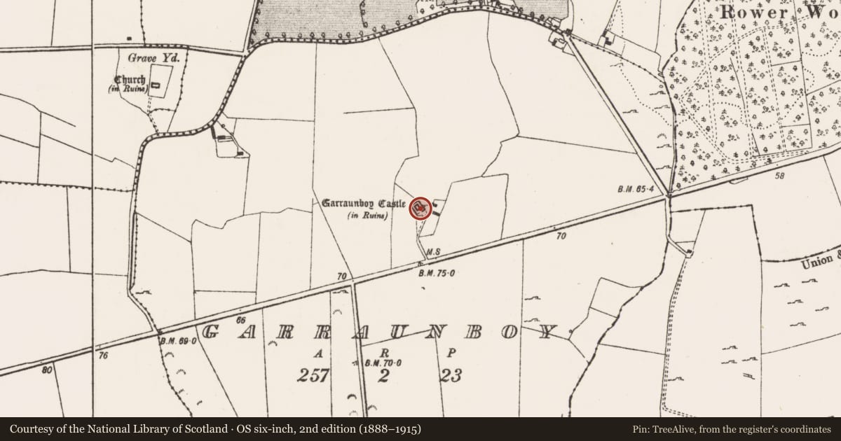 Ordnance Survey six-inch map, 2nd edition (1888–1915) covering the location of Castle - tower house, Garraunboy, County Limerick, with a pin at the register's coordinates