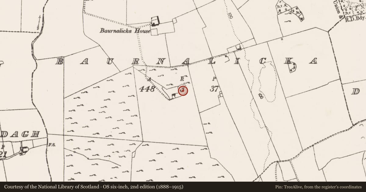Ordnance Survey six-inch map, 2nd edition (1888–1915) covering the location of Ringfort - rath, Baurnalicka, County Limerick, with a pin at the register's coordinates