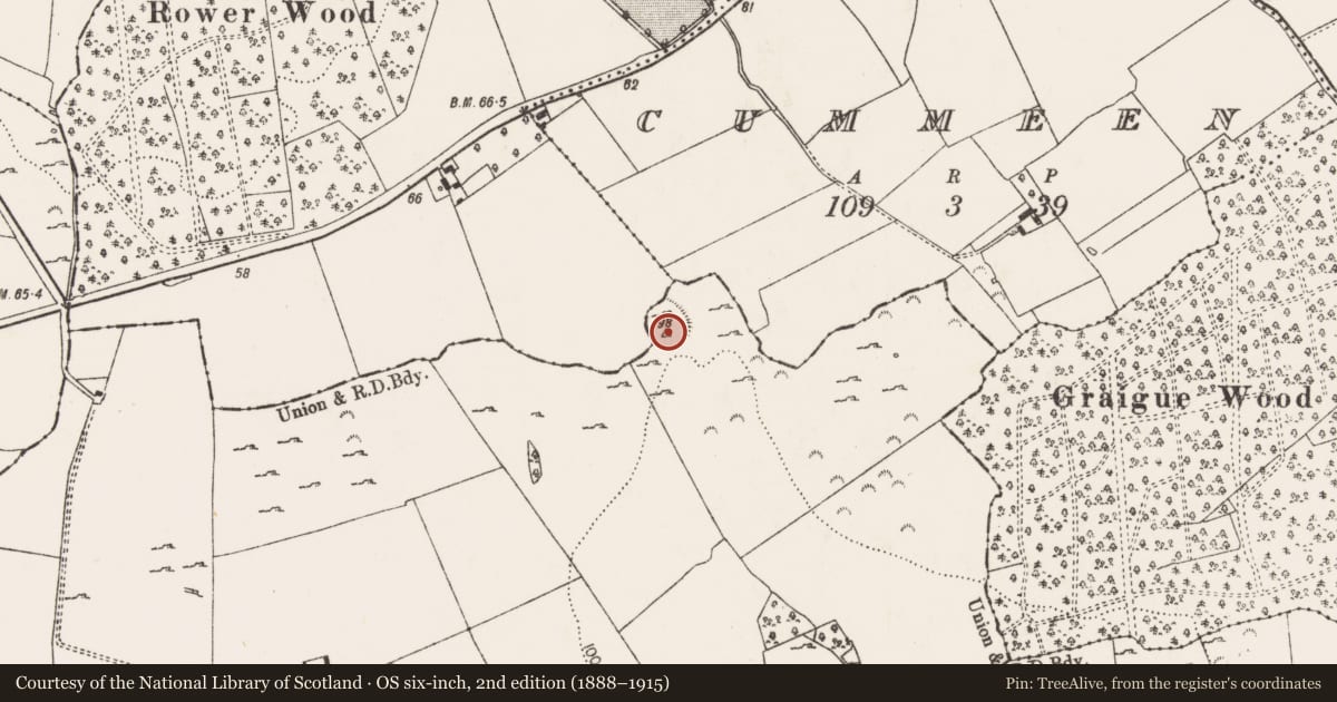 Ordnance Survey six-inch map, 2nd edition (1888–1915) covering the location of Ringfort - rath, Baurnalicka, County Limerick, with a pin at the register's coordinates