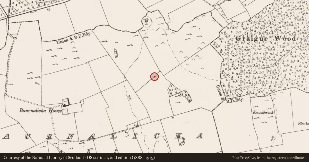 Ordnance Survey six-inch map, 2nd edition (1888–1915) covering the location of Ringfort - rath, Baurnalicka, County Limerick, with a pin at the register's coordinates