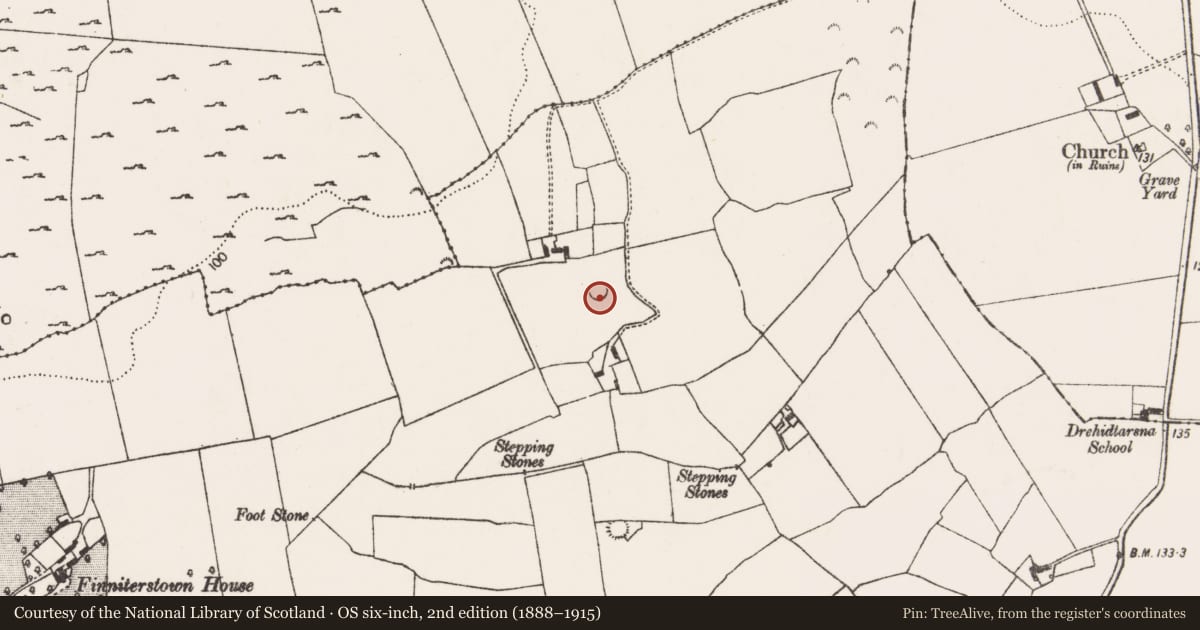 Ordnance Survey six-inch map, 2nd edition (1888–1915) covering the location of Ringfort - cashel, Finniterstown, County Limerick, with a pin at the register's coordinates