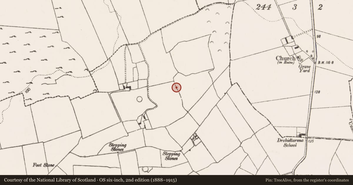 Ordnance Survey six-inch map, 2nd edition (1888–1915) covering the location of Ringfort - rath, Finniterstown, County Limerick, with a pin at the register's coordinates