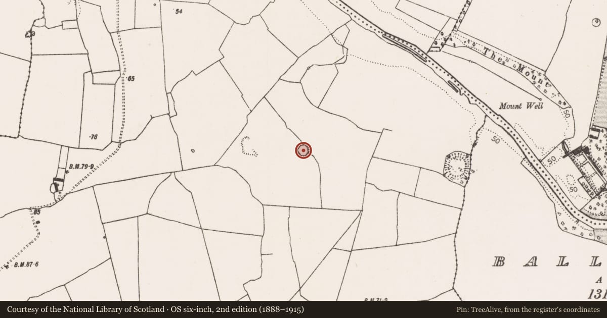Ordnance Survey six-inch map, 2nd edition (1888–1915) covering the location of Ringfort - rath, Dunnaman, County Limerick, with a pin at the register's coordinates