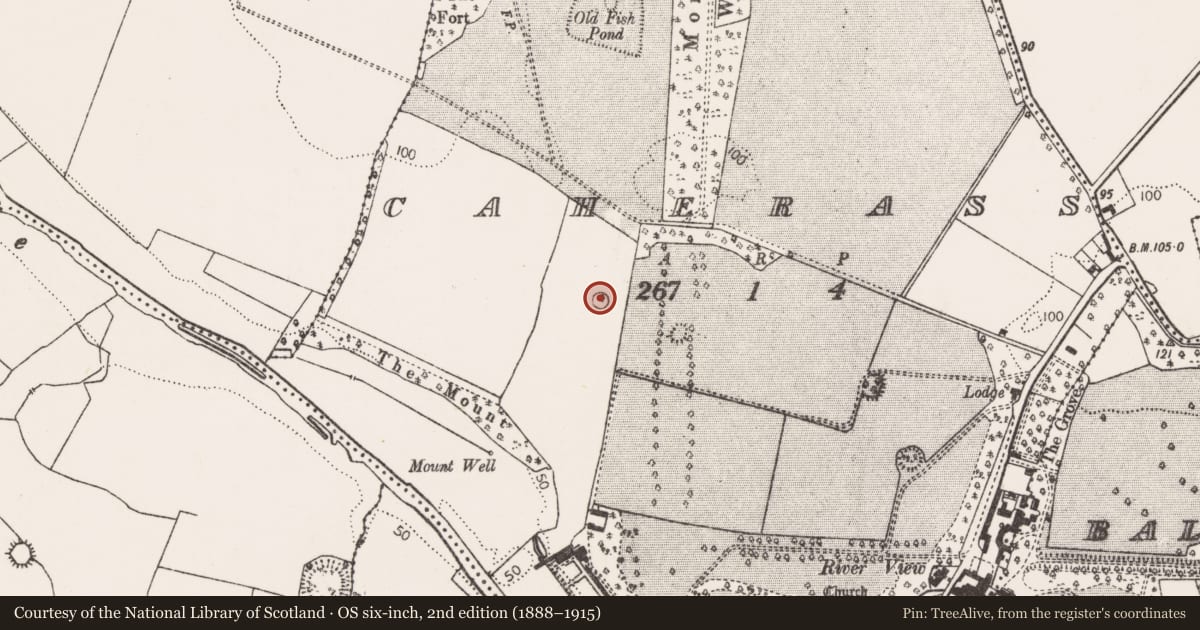 Ordnance Survey six-inch map, 2nd edition (1888–1915) covering the location of Designed landscape - tree-ring, Caherass, County Limerick, with a pin at the register's coordinates
