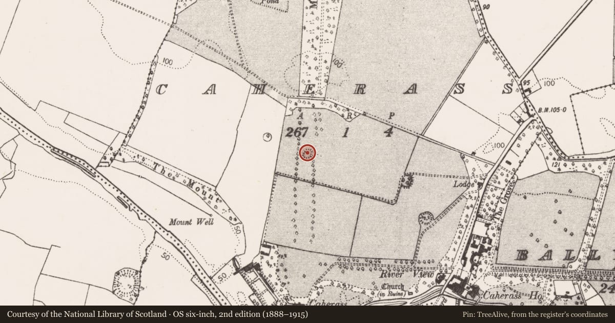 Ordnance Survey six-inch map, 2nd edition (1888–1915) covering the location of Barrow - unclassified, Caherass, County Limerick, with a pin at the register's coordinates