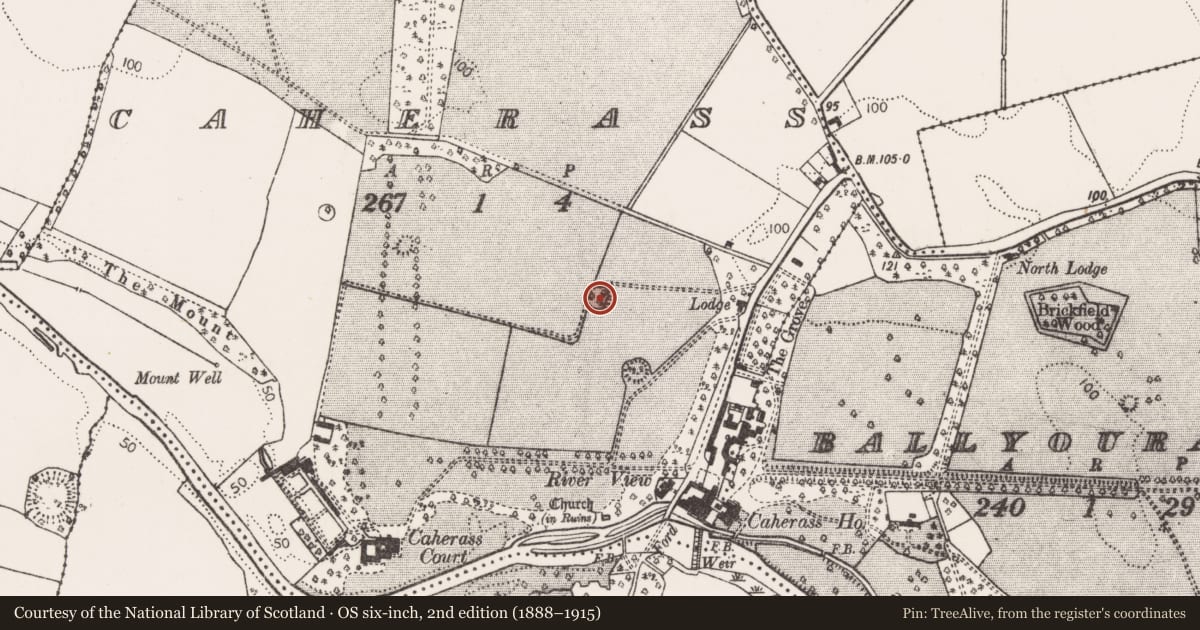 Ordnance Survey six-inch map, 2nd edition (1888–1915) covering the location of Ringfort - rath, Caherass, County Limerick, with a pin at the register's coordinates