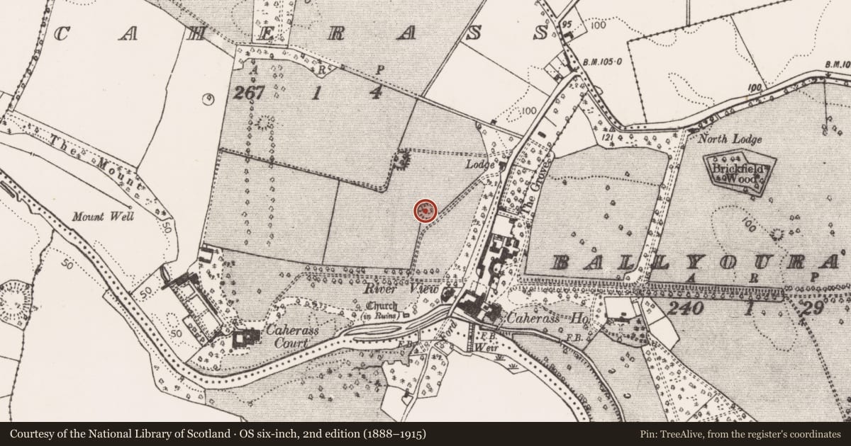 Ordnance Survey six-inch map, 2nd edition (1888–1915) covering the location of Ringfort - rath, Caherass, County Limerick, with a pin at the register's coordinates