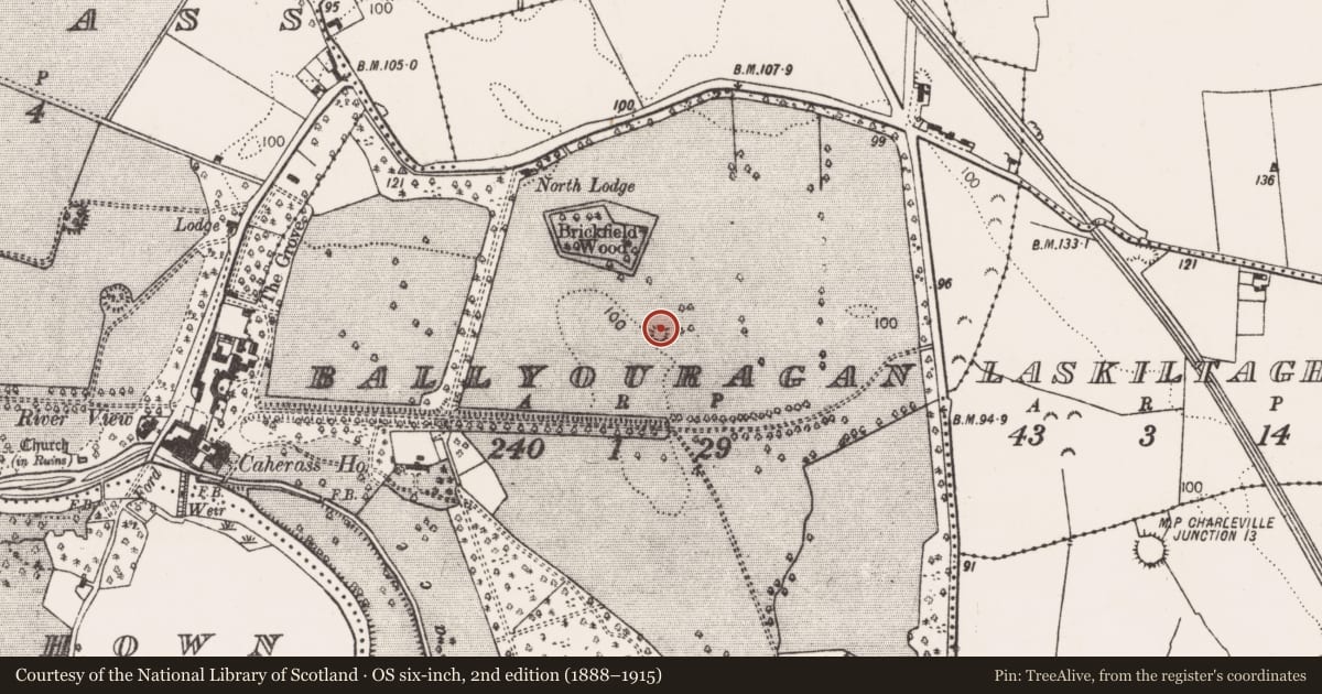 Ordnance Survey six-inch map, 2nd edition (1888–1915) covering the location of Ringfort - rath, Ballyouragan, County Limerick, with a pin at the register's coordinates