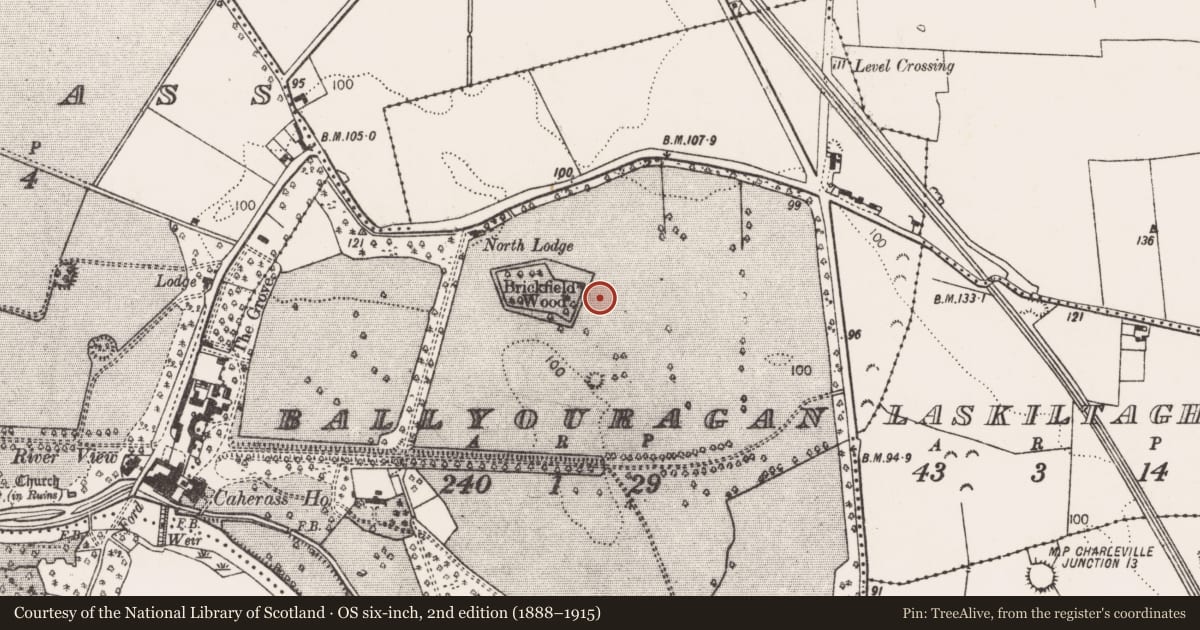 Ordnance Survey six-inch map, 2nd edition (1888–1915) covering the location of Barrow - mound barrow, Ballyouragan, County Limerick, with a pin at the register's coordinates