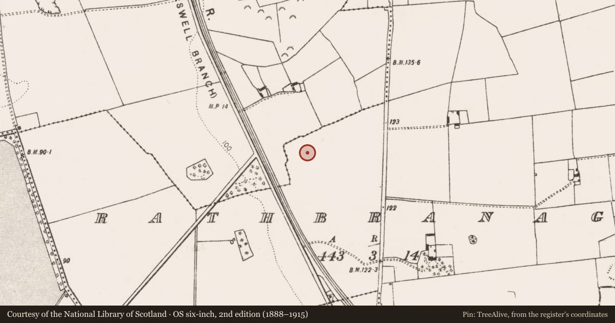 Ordnance Survey six-inch map, 2nd edition (1888–1915) covering the location of Enclosure, Rathbranagh, County Limerick, with a pin at the register's coordinates