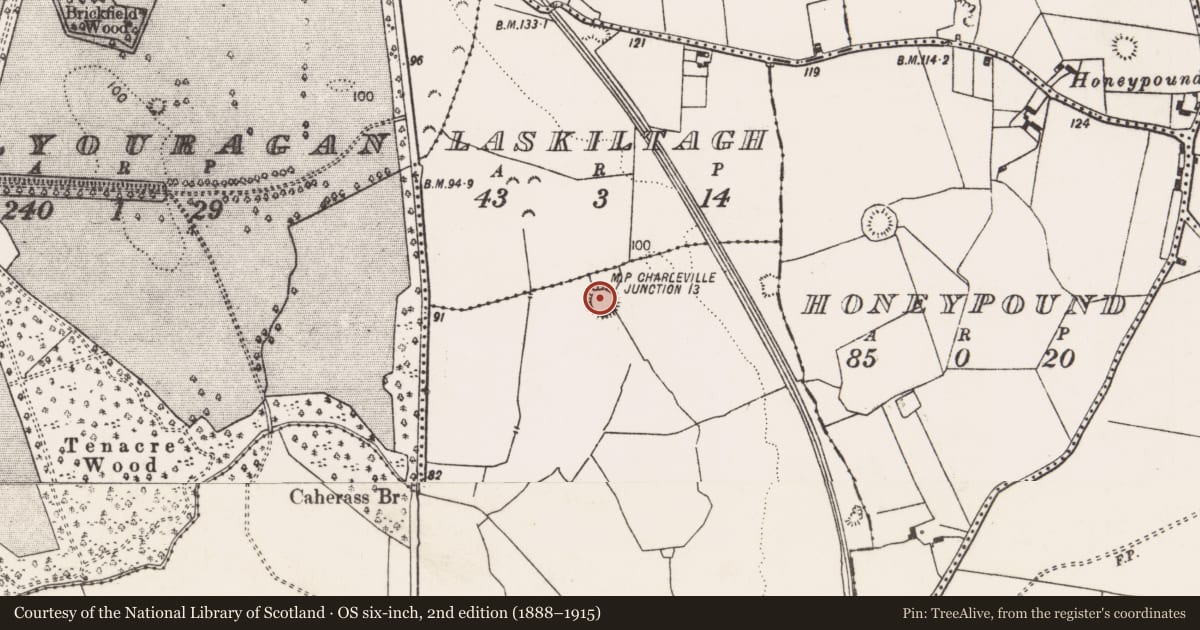 Ordnance Survey six-inch map, 2nd edition (1888–1915) covering the location of Ringfort - unclassified, Skagh, County Limerick, with a pin at the register's coordinates