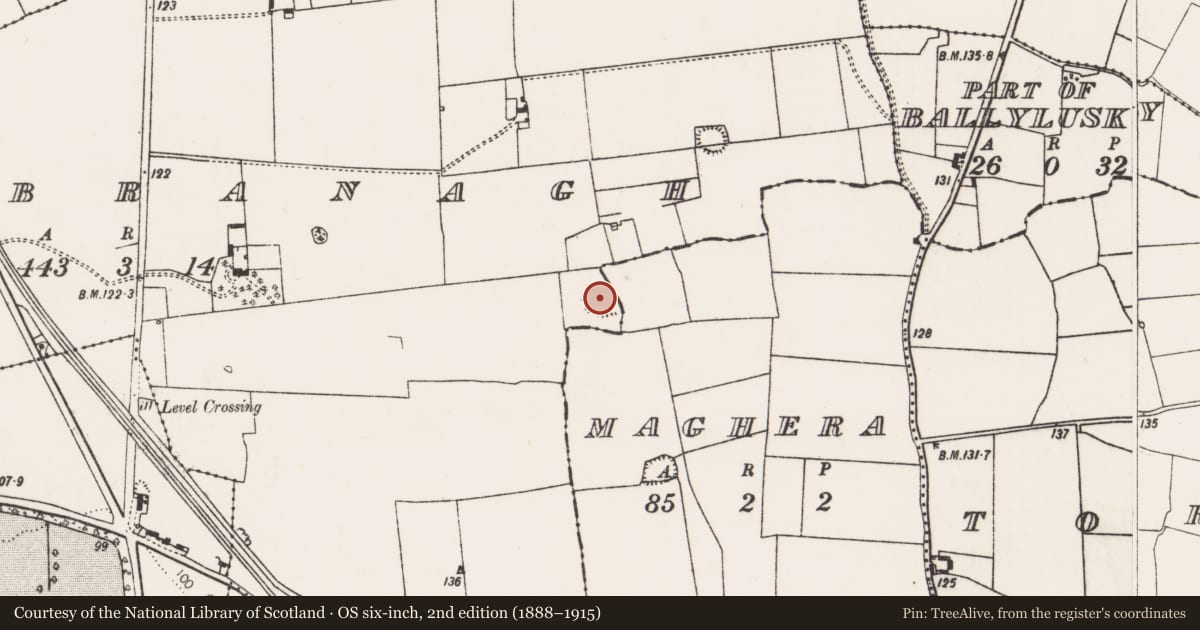 Ordnance Survey six-inch map, 2nd edition (1888–1915) covering the location of Ringfort - rath, Rathbranagh, County Limerick, with a pin at the register's coordinates