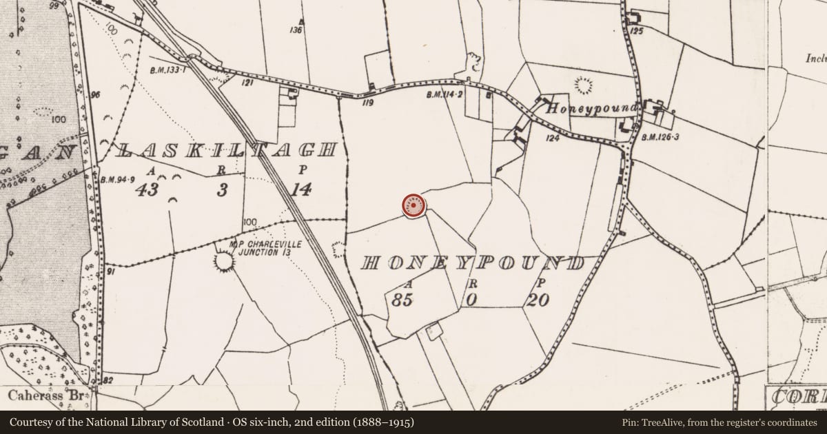 Ordnance Survey six-inch map, 2nd edition (1888–1915) covering the location of Ringfort - rath, Honeypound, County Limerick, with a pin at the register's coordinates