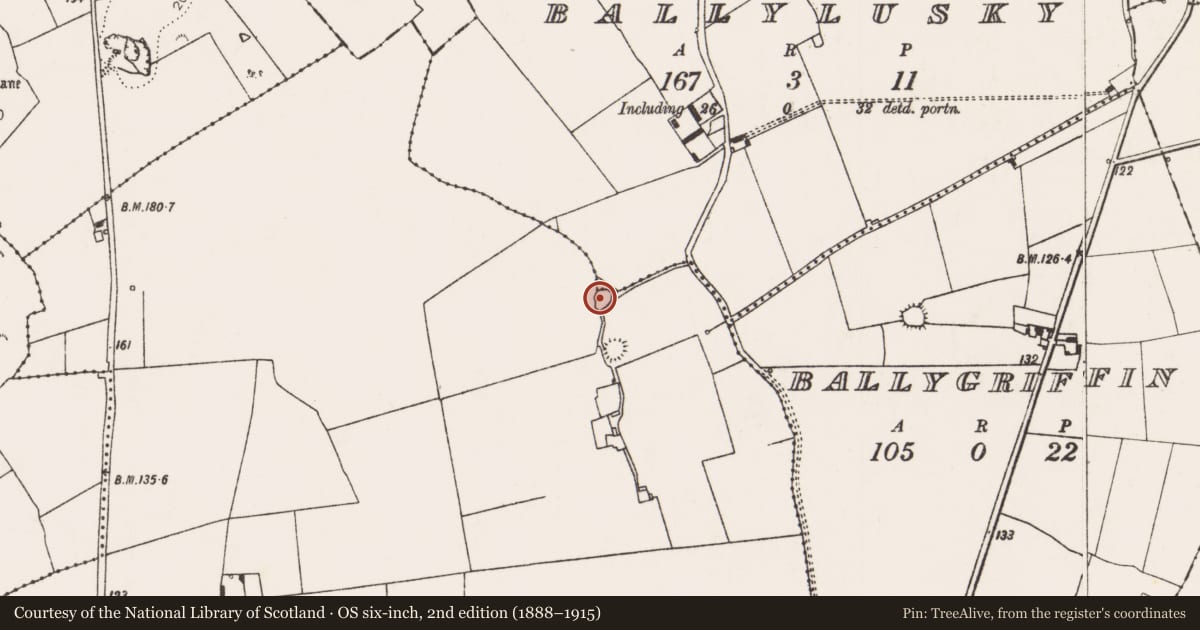 Ordnance Survey six-inch map, 2nd edition (1888–1915) covering the location of Ringfort - rath, Rathbranagh, County Limerick, with a pin at the register's coordinates
