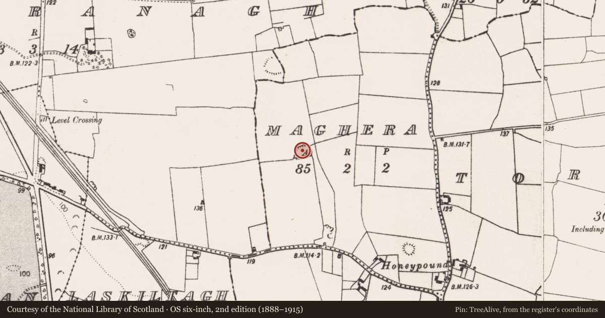 Ordnance Survey six-inch map, 2nd edition (1888–1915) covering the location of Moated site, Maghera, County Limerick, with a pin at the register's coordinates