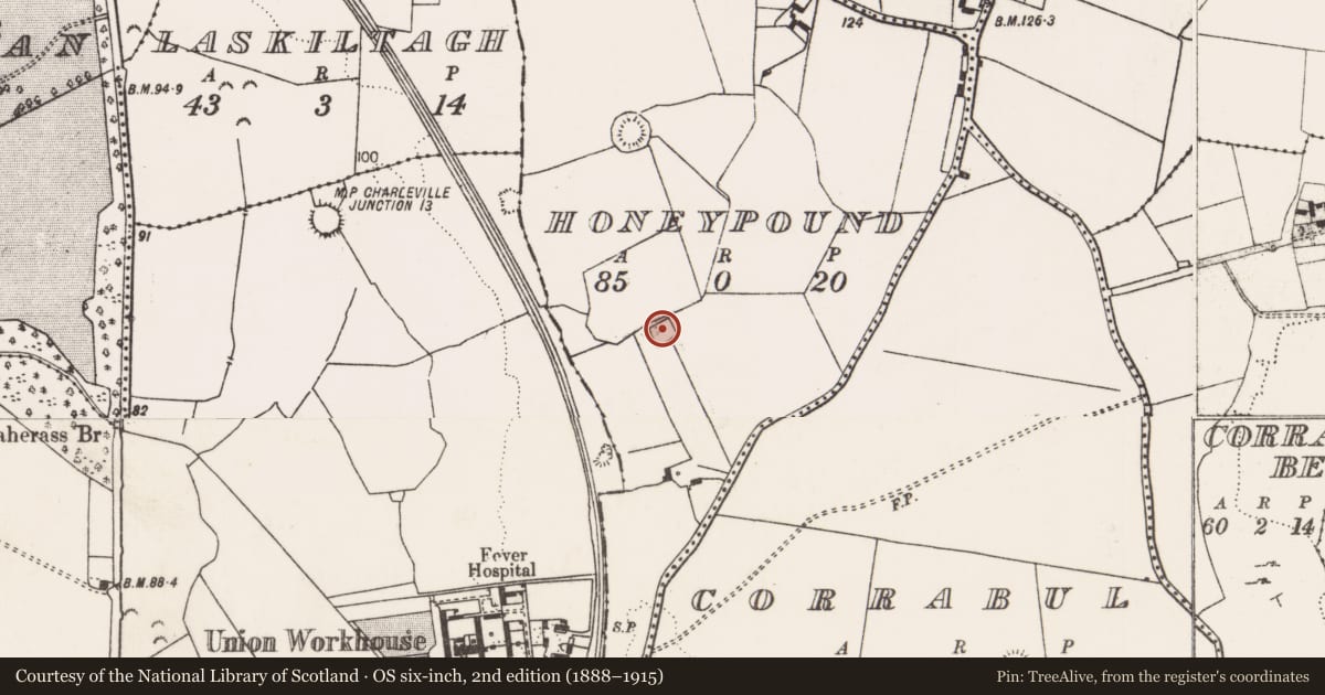Ordnance Survey six-inch map, 2nd edition (1888–1915) covering the location of Moated site, Honeypound, County Limerick, with a pin at the register's coordinates
