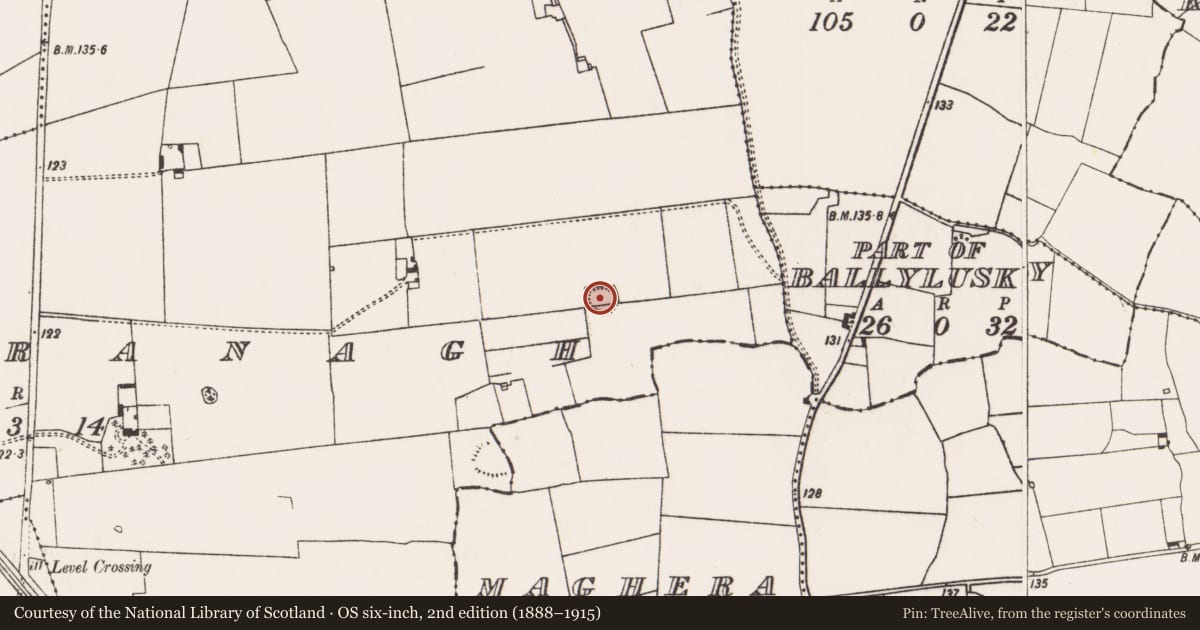 Ordnance Survey six-inch map, 2nd edition (1888–1915) covering the location of Ringfort - rath, Rathbranagh, County Limerick, with a pin at the register's coordinates