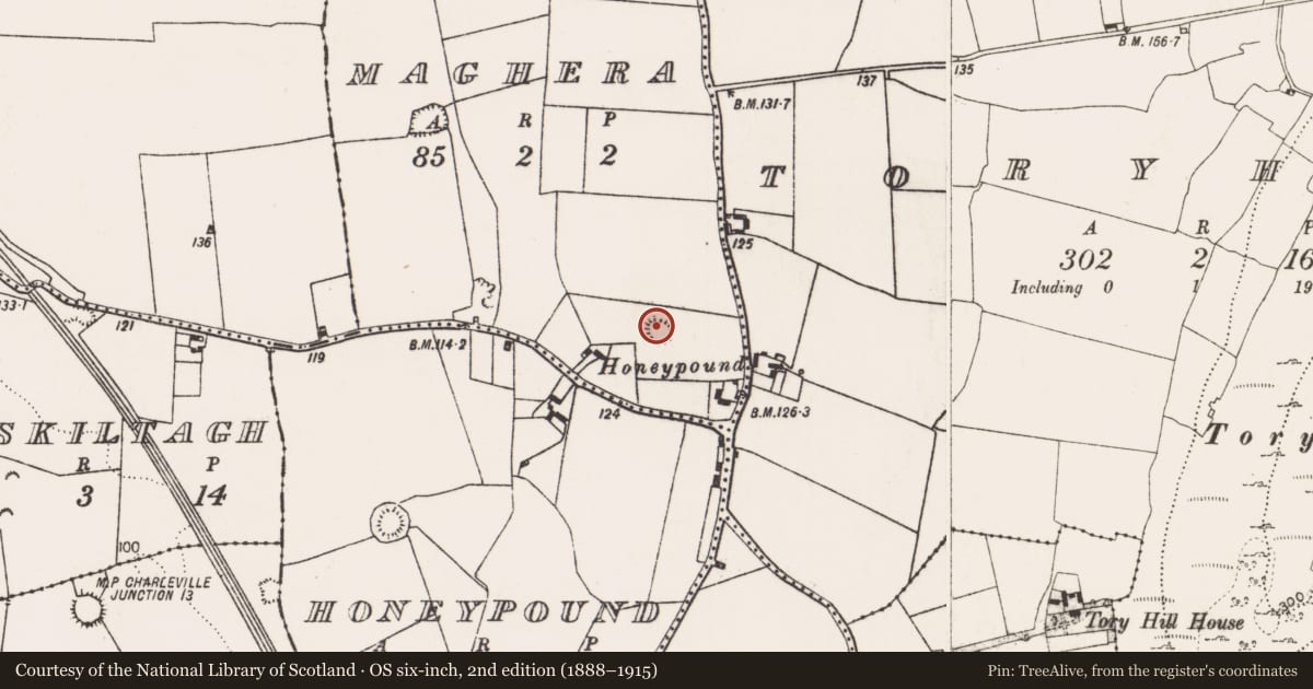 Ordnance Survey six-inch map, 2nd edition (1888–1915) covering the location of Ringfort - rath, Maghera, County Limerick, with a pin at the register's coordinates