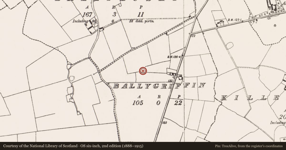 Ordnance Survey six-inch map, 2nd edition (1888–1915) covering the location of Ringfort - cashel, Ballygriffin, County Limerick, with a pin at the register's coordinates