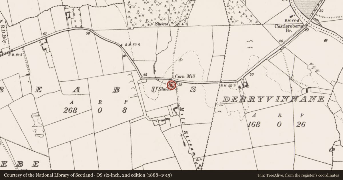 Ordnance Survey six-inch map, 2nd edition (1888–1915) covering the location of Water mill - unclassified, Beabus, County Limerick, with a pin at the register's coordinates